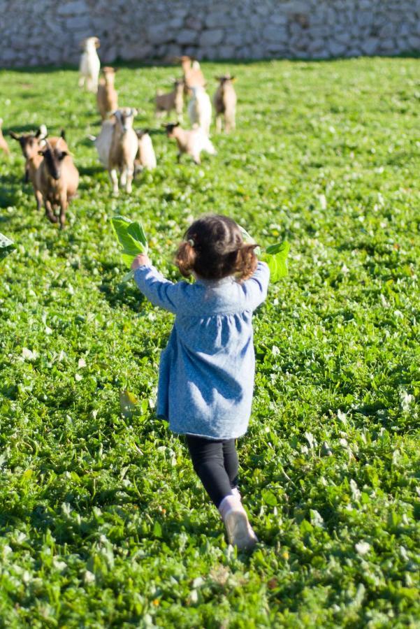 Llucmacanes Gran Agroturismo マオー エクステリア 写真