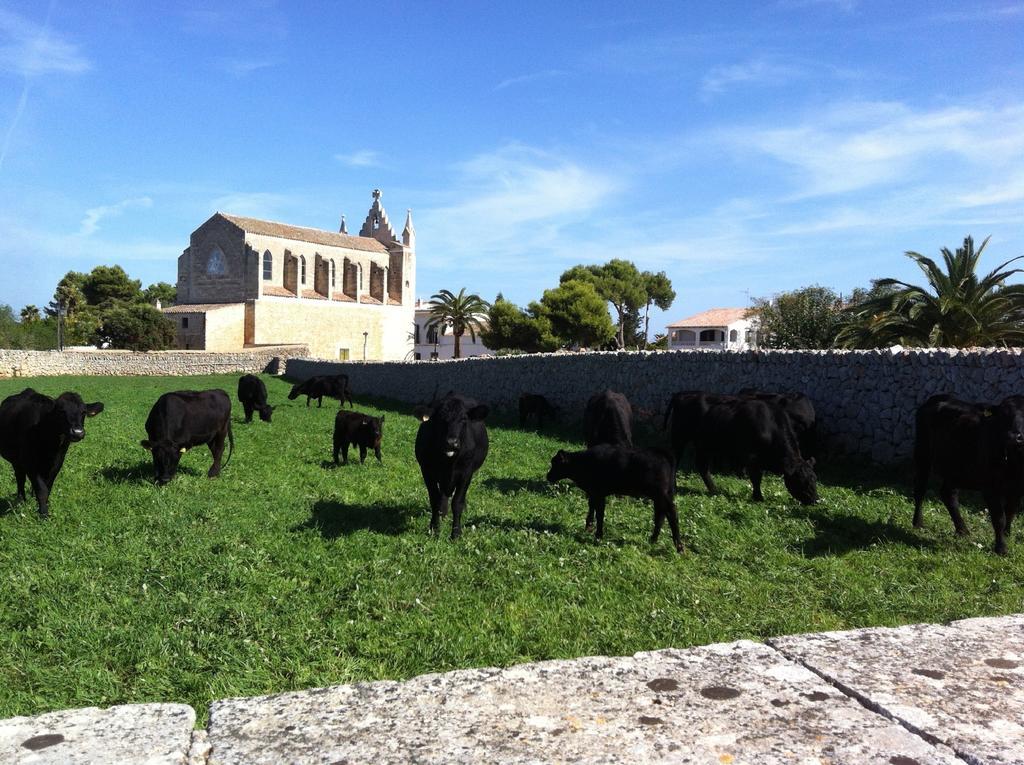 Llucmacanes Gran Agroturismo マオー エクステリア 写真