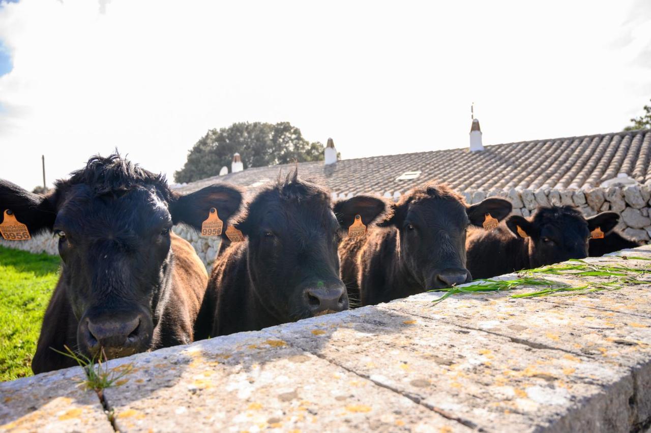 Llucmacanes Gran Agroturismo マオー エクステリア 写真